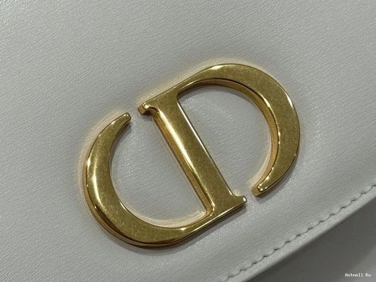 Christian StreetReady Bags 66849 Montaigne Dior 0714